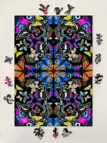 Butterfly Kaleidoscope